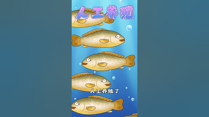 【我是不白吃】在船里养海鱼，这泰酷辣！丨Mr.foodie #shorts #fyptiktok  #fyp #我是不白吃  #冷知识 #轻漫计划