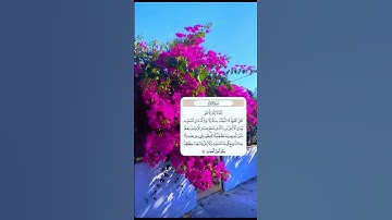 سورة البقرة || آية الكرسي || اسلام صبحي #القرآن_الكريم #سورة_البقرة #آية_الكرسي #اسلام_صبحي