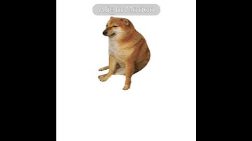 Alight Motion TEST #alightmotion #meme #cheems