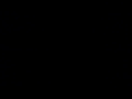 縞瑪瑙/チン☆パラ
