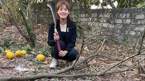 DAO QUẮM ĐI RỪNG MẪU MỚI. DAO NHÀ BẾP QUÁ CHẤT LƯỢNG VÀ TIỆN LỢI 0582132888