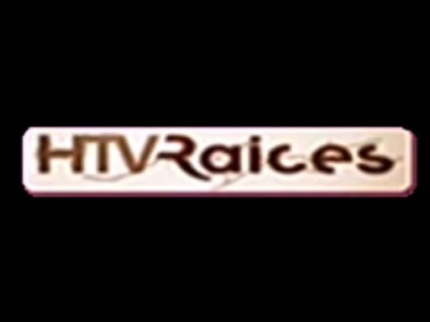 HTV - Aventura - Dile Al Amor (HTV Raíces 2011) - YouTube