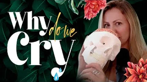 Is crying good for you? Let's ask Brain. | Tiny Ti...