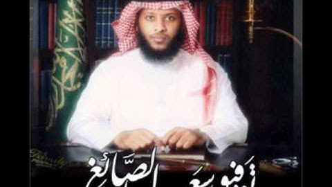 الشيخ توفيق الصائغ أواخر سورة البقرة  أداء مميز