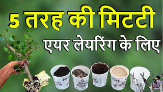 एयर लेयरिंग की मिटटी बनाने में उपयोग करे ये 5 चीजे। Top 5 Soil Media For Air layering .