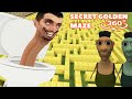 TOILET SKIBIDI Chasing US in GOLDEN MAZE - Minecraft 360°!