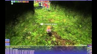 ISNM Shadows of the Mind 戦績BF プークの幻影 in Jade Sepulcher 翡翠廟