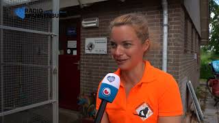 Vier Kittens Gedumpt Langs A32 Dierenopvang Nu Al Overvol