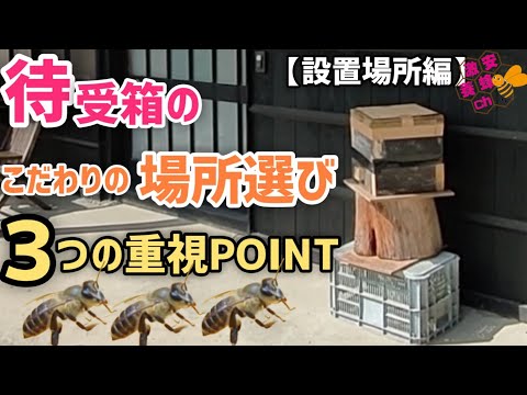 待受箱設置編】どこに置く?自然入居実績の高い場所の共通点は? - YouTube
