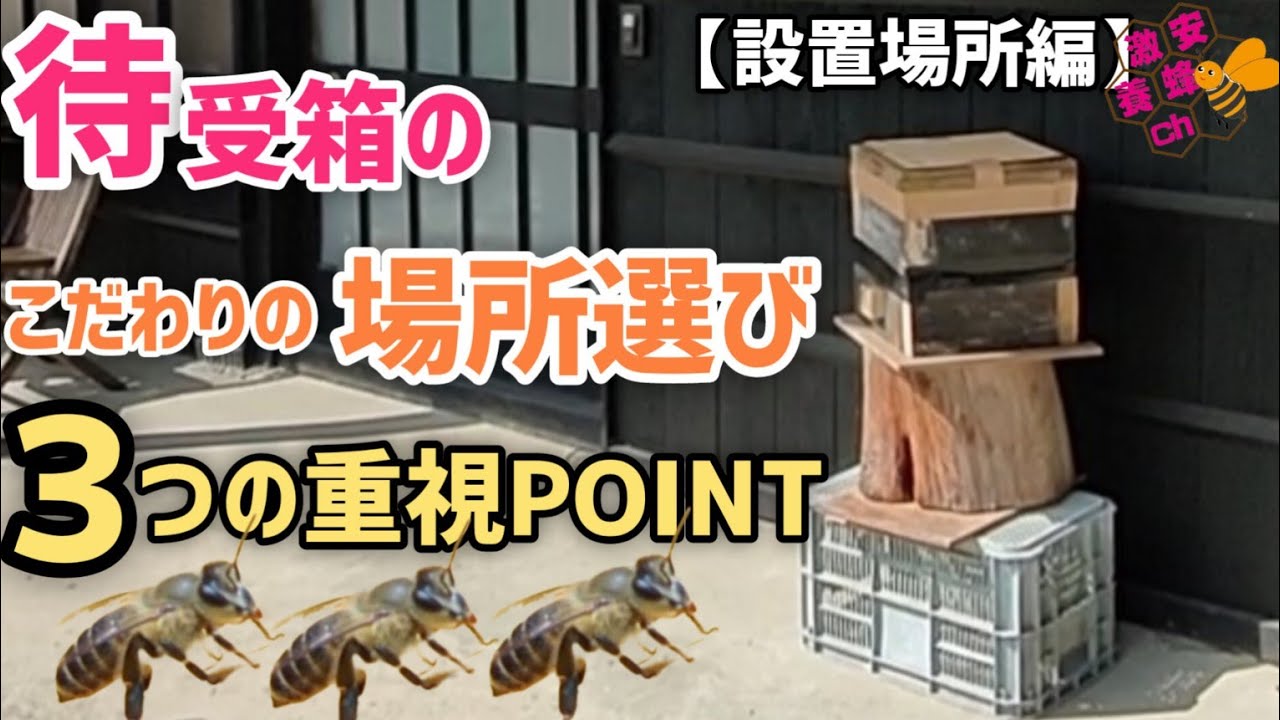 待受箱設置編】どこに置く?自然入居実績の高い場所の共通点は? - YouTube