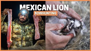 Bowhunting Mountain Lion in Mexico:  Is it really the Best Wild Meat? ‍♂