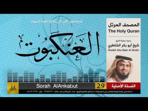 29 سورة العنكبوت شيخ ابو بكر الشاطري Sheikh Al Shatri 