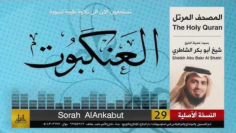 ( 29 ) سورة  العنكبوت | شيخ ابو بكر الشاطري | Sheikh Al Shatri