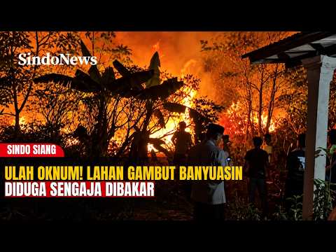 Polisi Selidiki Dugaan Unsur Kesengajaan Dalam Kebakaran Gambut Banyuasin | Sindo Siang | 09/09