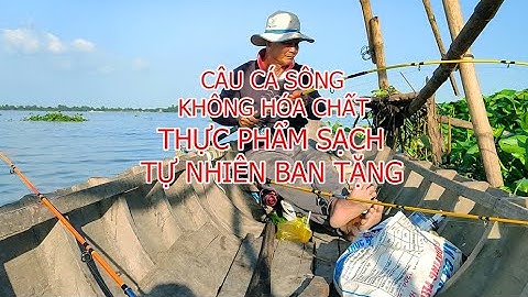 Phê Cần-Câu Cá Sông Tự Nhiên|(Không Hóa Chất)(Được 3kg)|Điểm Câu Cái Sâu Sông Hậu Cần Thơ 8 |