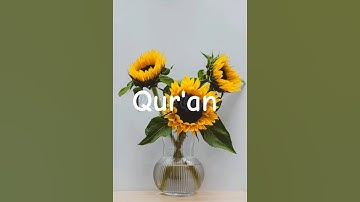سورة الضحى تلاوة جميلة ❤️ #tiktok #duet #surah #viral #views #quran #hadith #trending