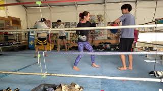 2022050602 toellgym.com