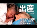 家族が増えました｜国際夫婦｜初産｜帝王切開｜ハンガリー在住｜出産vlog