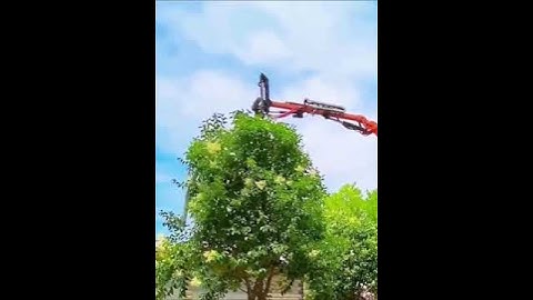 Pruning tool for round treetops- Good tools and machinery make work easy