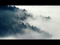 30 min - CALMING &amp; RELAXING MUSIC - Wonderful music for...  ❤️ 🎶