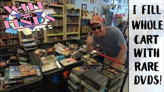 Thrift store hunting for rare and valuable DVDs