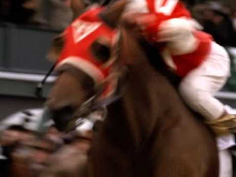 wild horses music video