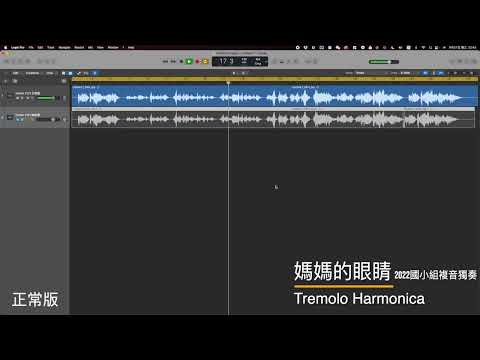 媽媽的眼睛｜2022 國小組 複音獨奏 指定曲（正常版本）｜ [ DMing Studio ]
