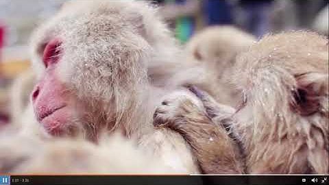 Module 10 HMH Video Opener