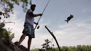 Killed An Hour On The Banks Of The Iowa River In Wapello, IA!