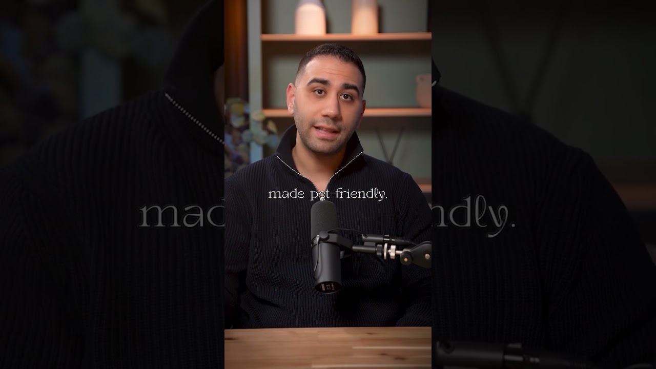 Cinema With Your Dog