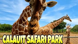 Calauit Safari Park | Coron Palawan