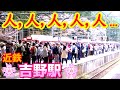 桜のシーズン、単線の田舎駅に訪れる激ラッシュが凄かった !!【近鉄吉野線･吉野駅】臨時快速急行さくら号、臨時特急、青の交響曲、さくらライナー...　2024年4月　#KAZUの鉄道館