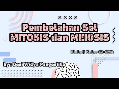 Pembelahan Sel | Mitosis dan Meiosis | Biologi Kelas 12 SMA