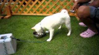 20100627-4.mp4