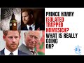 PRINCE HARRY ISOLATED & HOMESICK #princeharry #meghanmarkle #royalfamily