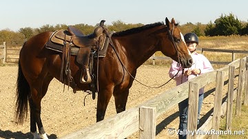 A Special RL - gorgeous mare riding with young Cowgirl! - ValleyViewRanch.net