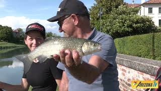 MONDO PESCA - CAVEDANI DEL LEMENE CON INNESTO A CALZETTA - FIUME LEMENE - CONCORDIA SAGITTARIA - VE