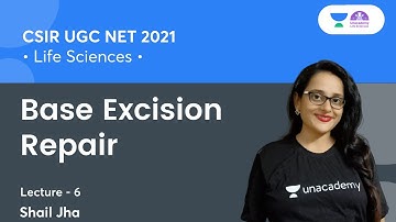 Base Excision Repair | CSIR UGC NET 2021 | By Shail Jha