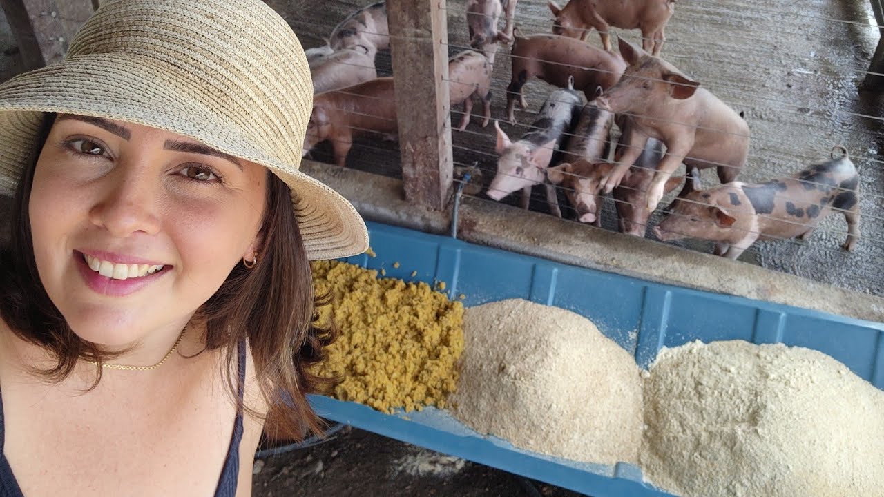 Como fazer RAÇÃO barato para PORCOS!