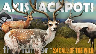 DIAMOND & SIX RARES on CRAZY AXIS HUNT in PARQUE!!! - Call of the Wild