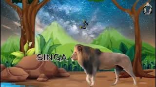 ❗Singa si raja hutan