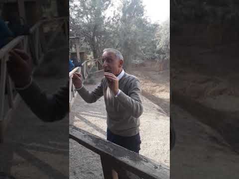 حيث التقى المسيح مع النبي يحيى يوحنا المعمدان