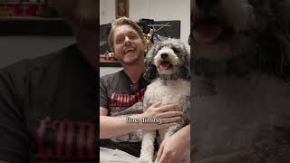 #Ad Meet Ollie and his doggie Meal plan.