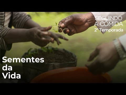 Sementes da vida - Seguindo a Comida - Segunda Temporada