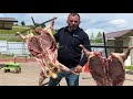 МЯСО БАРАНА НА КОСТРЕ. ENG SUB - YouTube