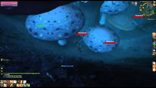 Where is Mushroom Covered Chest Treasure WOW