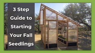 Beginners Guide to Starting Your Fall Seedlings | Roost & Root