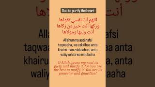 Download Lagu Allahumma aati nafsi taqwaahaa wa zakkihaa anta khairu man zakkaahaa anta waliyyuhaa wa maulaaha MP3