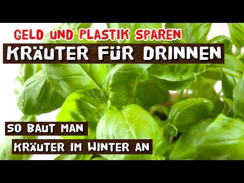 Video: Duftende Kräuter Auf Der Fensterbank