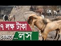 ছাগলের খামার শুরুর আগে এই ভিডিওটি দেখে নিন | লস থেকে বাঁচুন | Safollo Kotha Ep 124